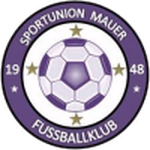 Эмблема Union Mauer
